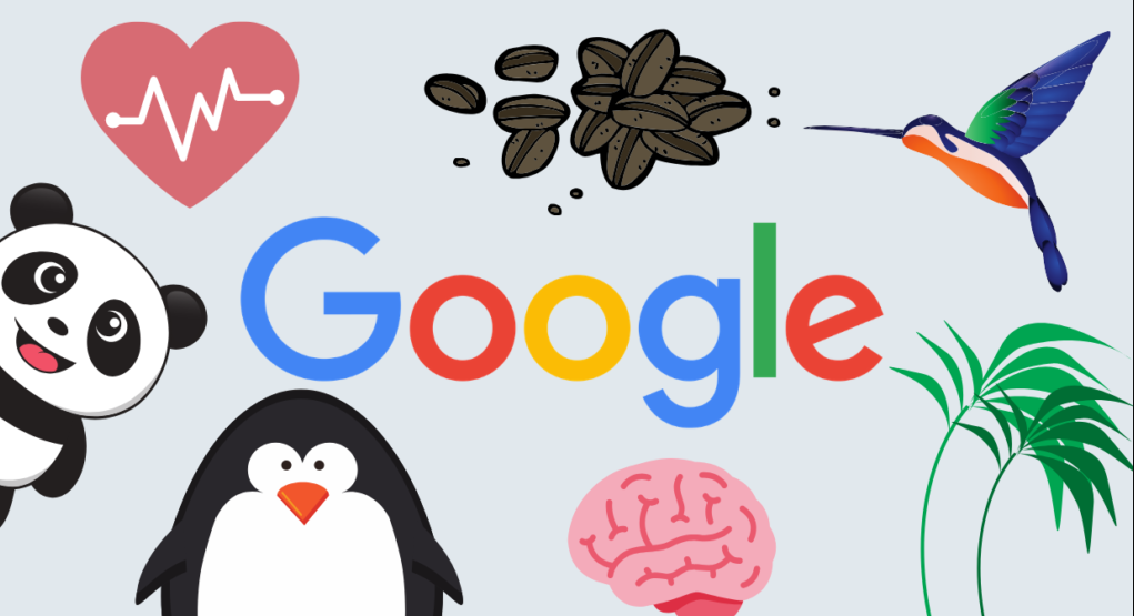 谷歌可以操作霸屏吗